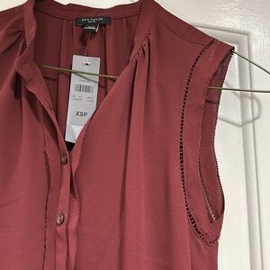 Ann Taylor Petite Burgundy Blouse